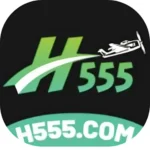 H555 Game