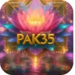PAK35 Game