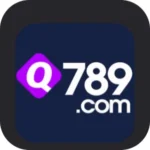Q789 Game